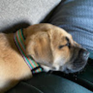 Meet your Posher, Emma